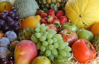 Suprevita Alimentos Nutricionais - Foto 1