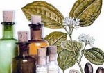 farmacias-de-homeopatia-maceio-1400174676
