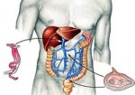 gastroenterologia-e-gastroenterologistas-maceio-1400174975