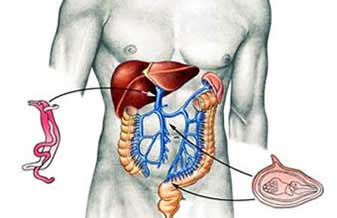 Clínica de Gastroenterologia Gastromed - Foto 1