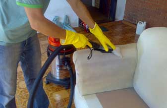 Essencial Higienizacao Limpeza de Estofados - Foto 1
