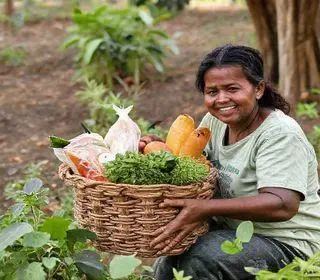 Preços da Cesta Básica em Maceió