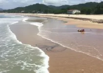 despejo irregular de esgoto