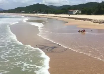 Últimas noticias de Maceió