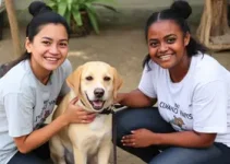 Mostra Nacional de Experiências Exitosas do PET-Saúde