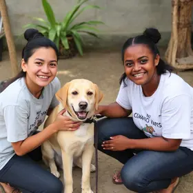 Mostra Nacional de Experiências Exitosas do PET-Saúde
