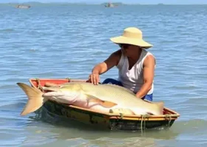 Últimas noticias de Maceió