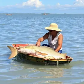 4ª Conferência Nacional de Aquicultura e Pesca