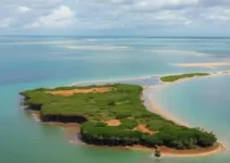 mudanças climáticas na saúde