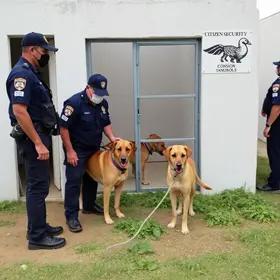Segurança Cidadã