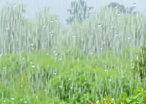 chuva em Maceió