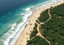 Defesa Civil Maceió