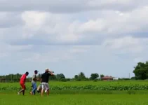 25ª Feira da Reforma Agrária