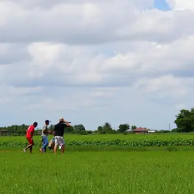 25ª Feira da Reforma Agrária