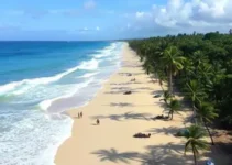 1ª Mostra de Experiências Exitosas da APS de Maceió