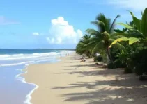 encontro de culturas